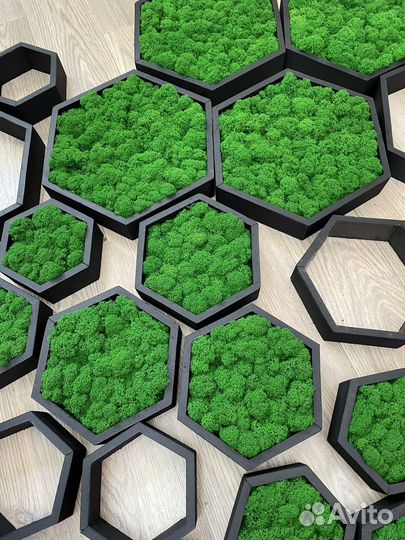 Панно из стабилизированного мха/ картины из мха