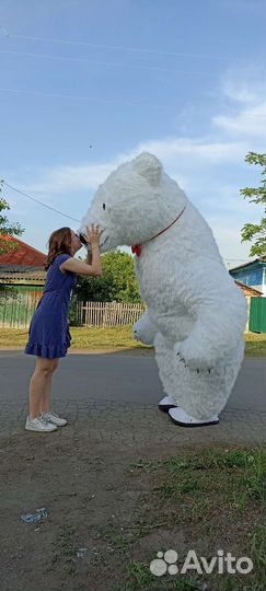 Поздравление белый Мишка