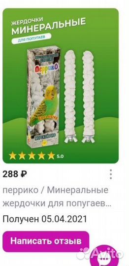 Апартаменты для вашего любимца