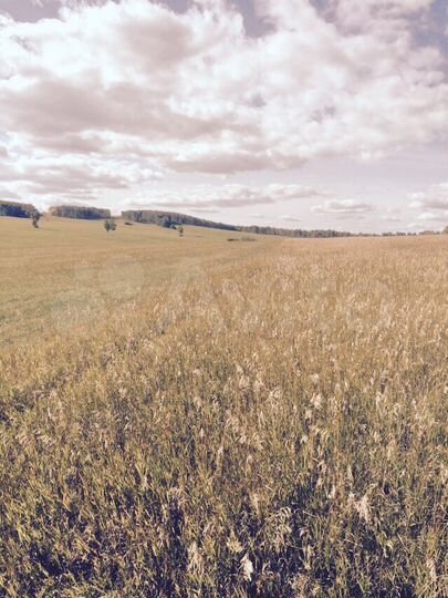 Участок 5,69 га (СНТ, ДНП)