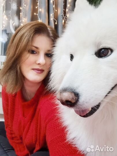 Кинолог с передержкой