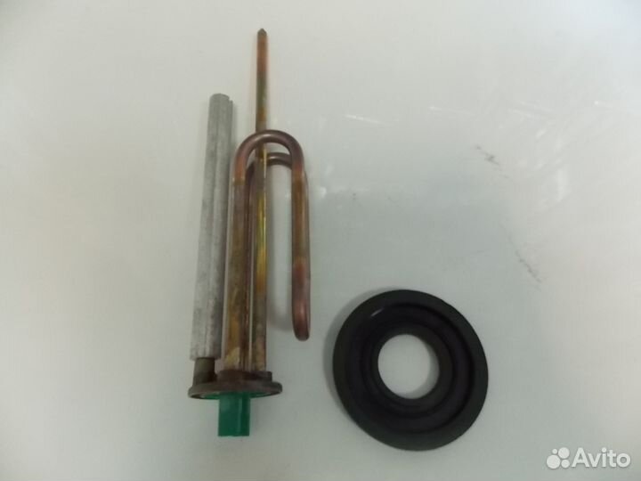 Тэн короткий ус