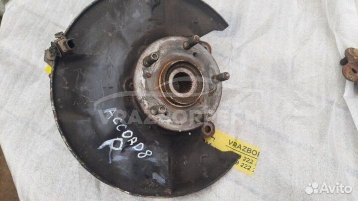 Кулак поворотный передний правый Honda Accord 8