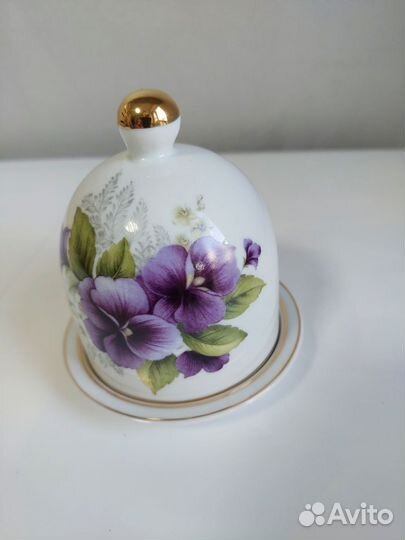 Лимонница новая