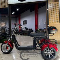 CityCoCo Trike GT X12 PRO 2024