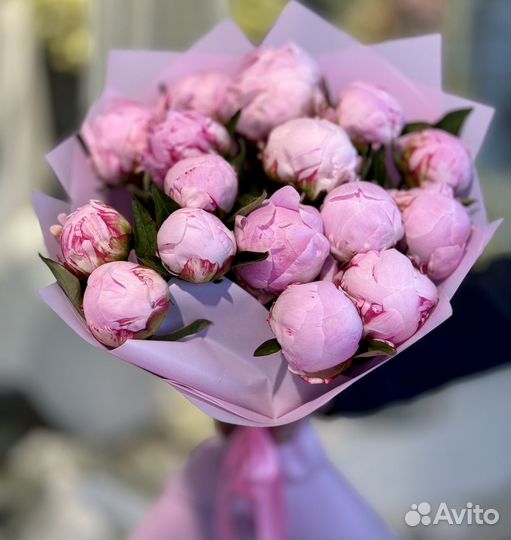 Голландские пионы