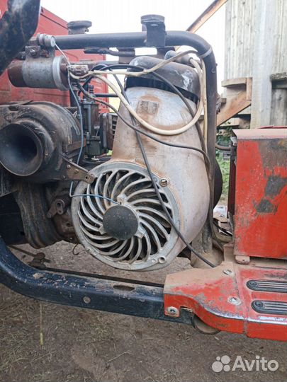 Продам муравей с документами