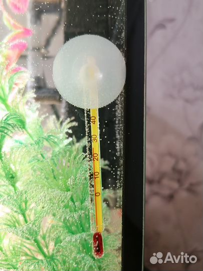 Термометр для аквариума