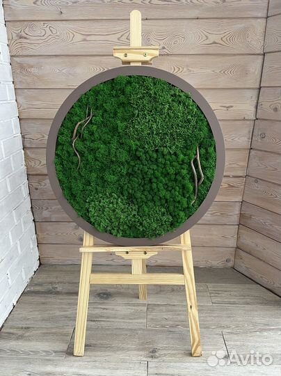 Панно из стабилизированного мха. Мы в Омске