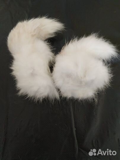 Колик для собак