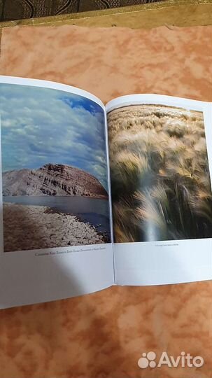 Иконников-Галицкий 