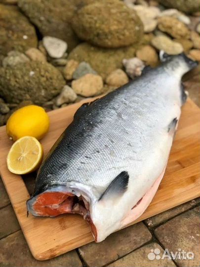 Рыба кижуч свежемороженый