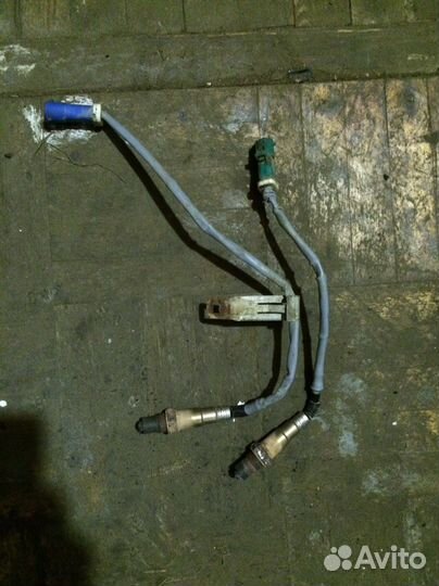 Датчик кислорода Ford Focus 3 1.6 105лс