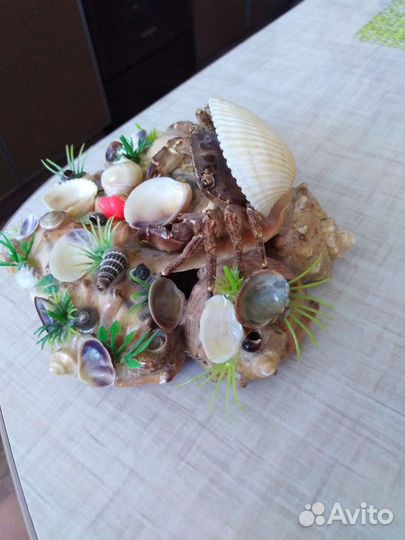 Сувениры с моря