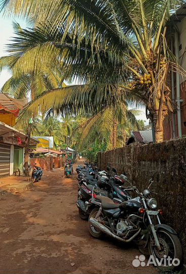 Визы Индия,Гоа, Вьетнам, Шри-Ланка, Exit Permit