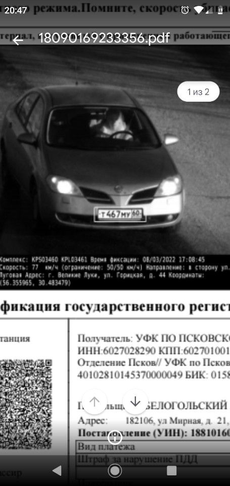Nissan Primera: фото владельца