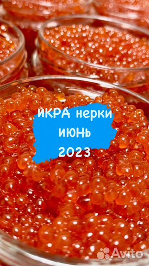 Красная икра 2023 июнь