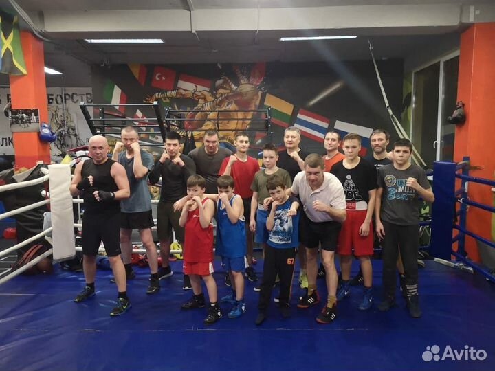 Бокс, кикбоксинг, борьба, мма