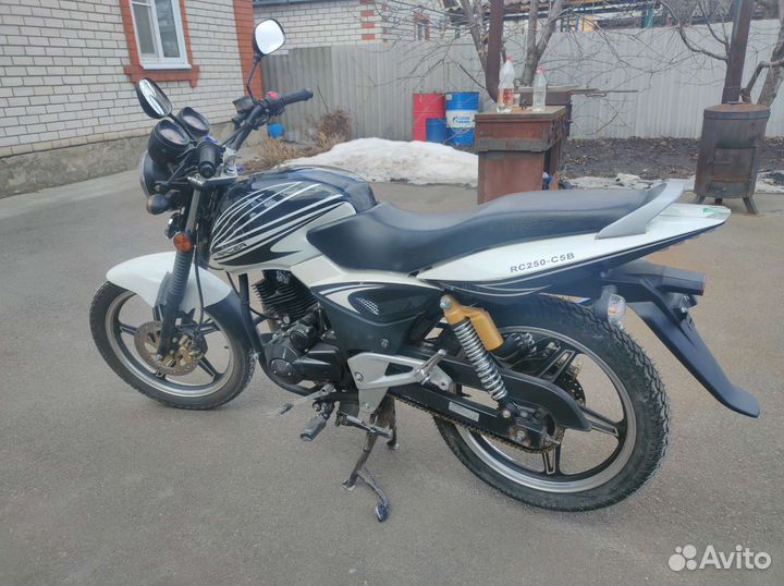Рейсер магнум 250