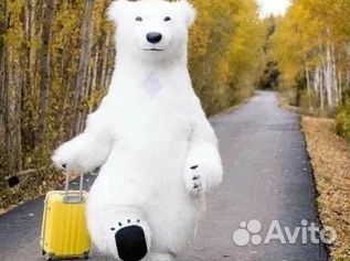 Аниматор мишка тедди