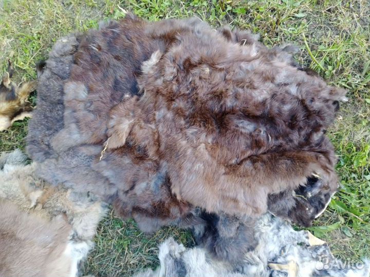 Шкура кролика