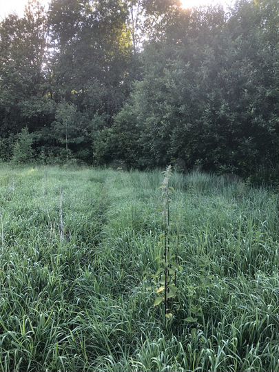 Участок 4 сот. (ИЖС)