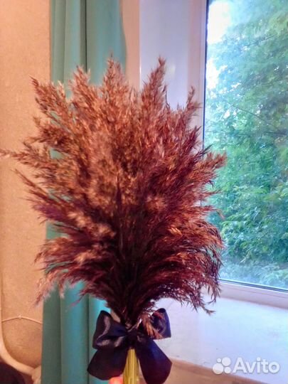 Сухостой букет