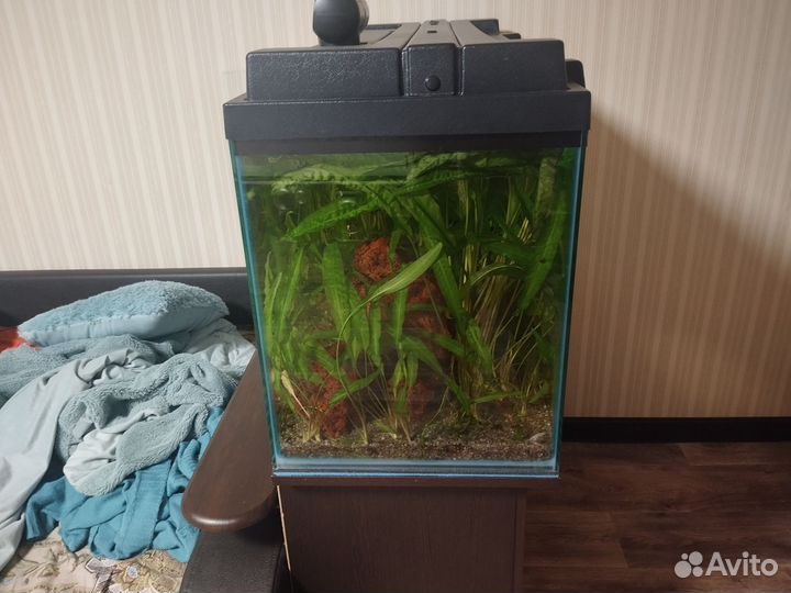 Аквариум 200л с тумбой и рыбами