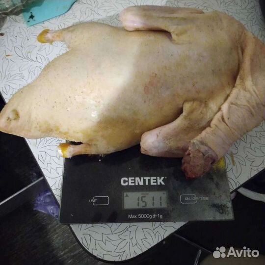 Мясо домашней птицы