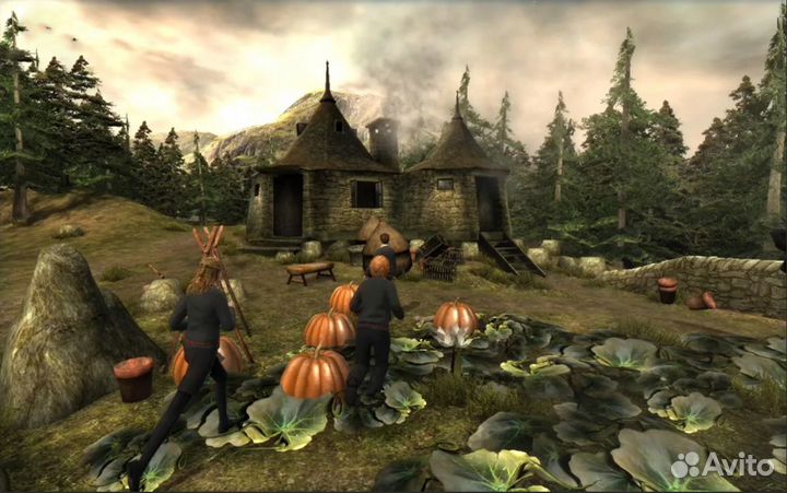 Harry Potter and the Order of the Phoenix (PS2) Б