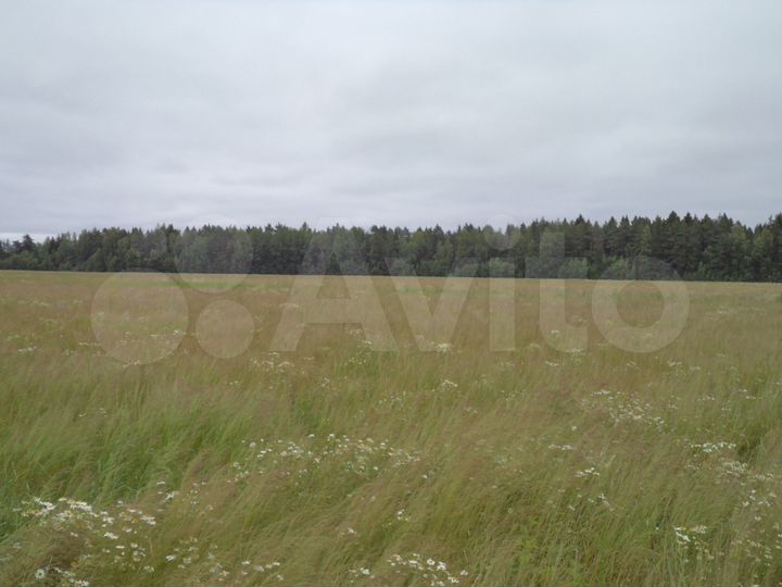 Участок 2 га (СНТ, ДНП)