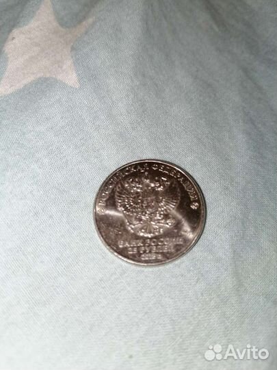 25 р волк забивака