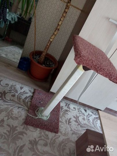 Когтеточка