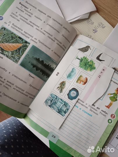 Рабочая тетрадь по окружающему миру 2класс