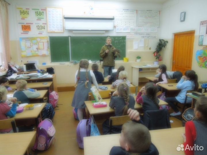 Хищные птицы