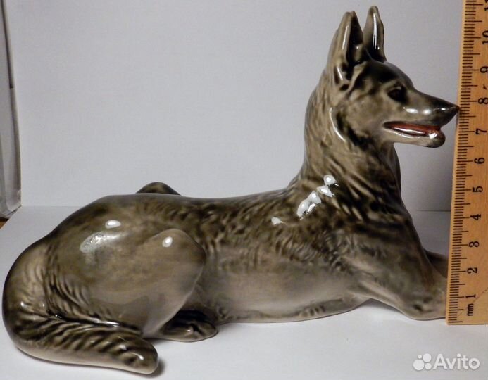 Овчарка лфз