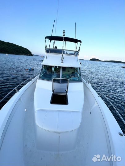 Катер SEA RAY 290SFB