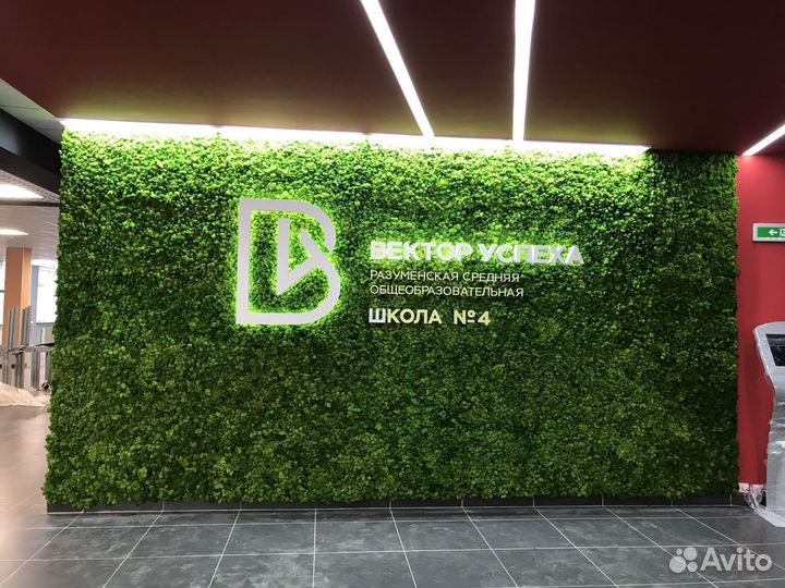 Панели из стабилизированного мха по вашим размерам