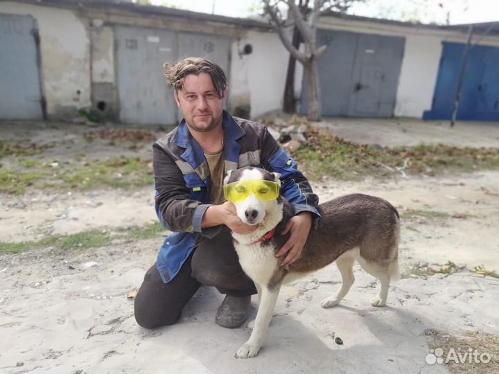 Строитель универсал