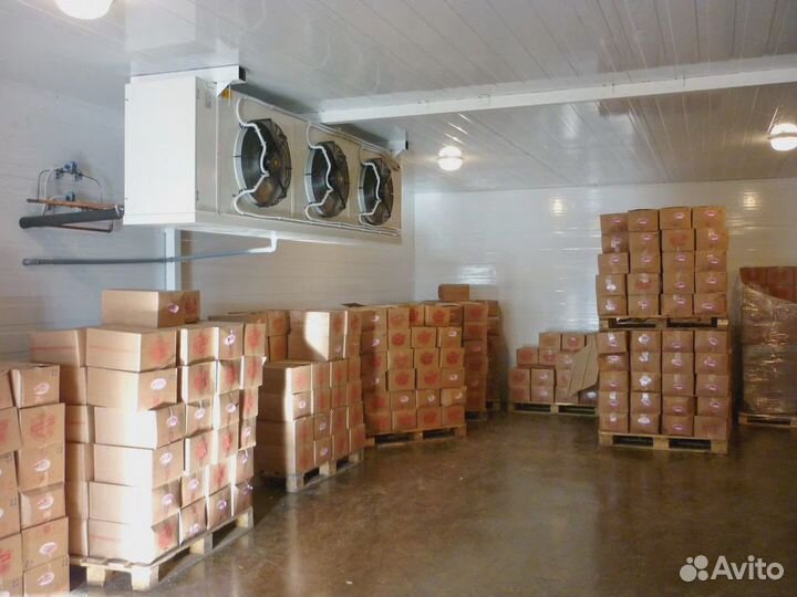 Холодильная камера для магазина, продуктового склада
