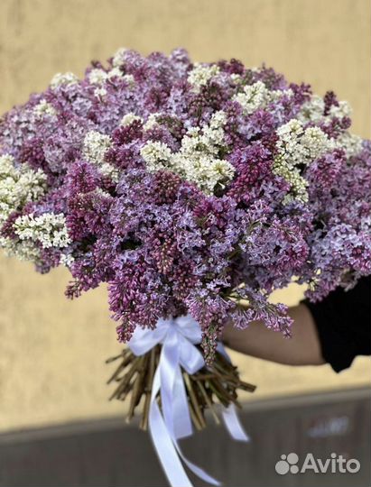 Букеты Сирени с доставкой