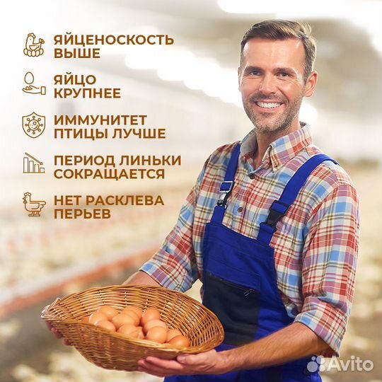 Премикс для несушек с Черной Львинкой россыпь 6 кг