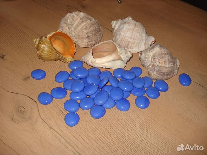 Ракушки и камушки