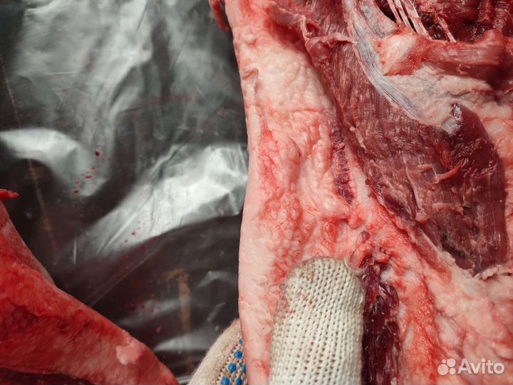 Мясо косули, лось, кабан. Дичь