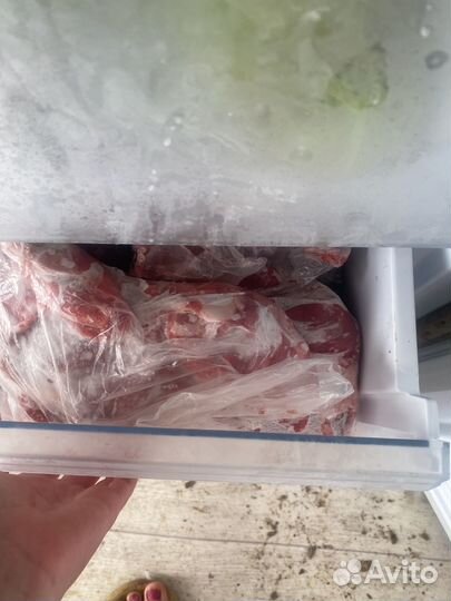 Мясо козлятина