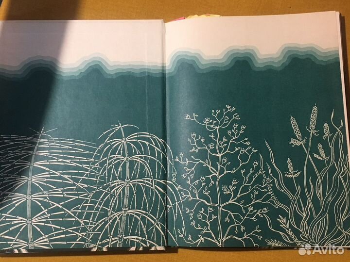 «Лесные травянистые растения»