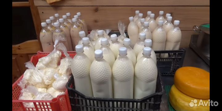 Молочные продукты