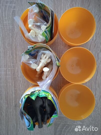 Киндер макси Натунс 2023-2024г