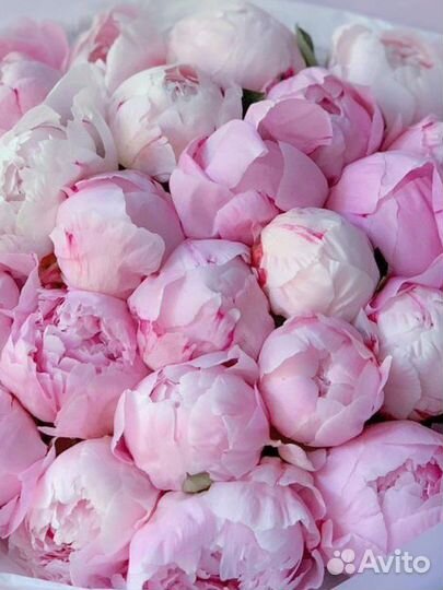 Букет из пионов