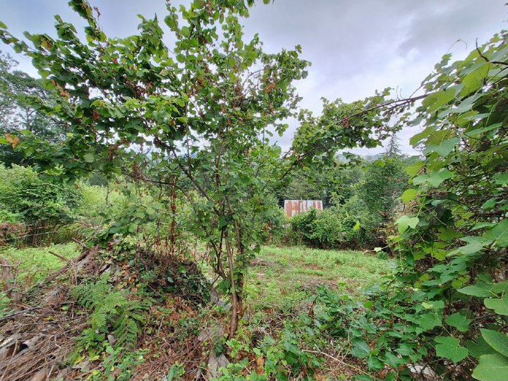 Участок 5,5 сот. (ИЖС)